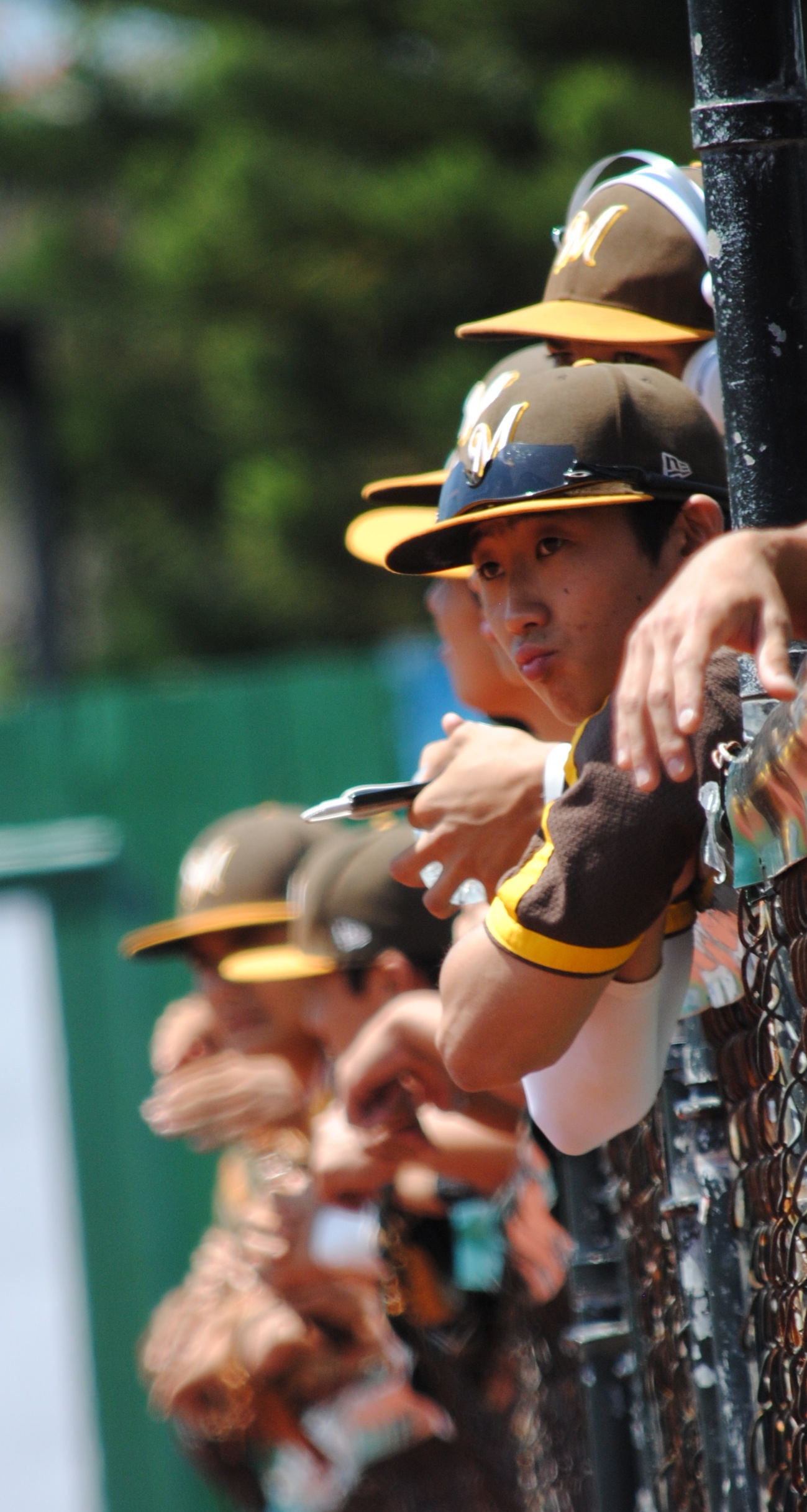 LIVE BLOG HHSAA state baseball Day 1 Hawaii Prep World